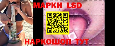 индика Кандалакша