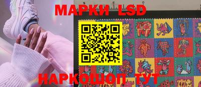 индика Кандалакша