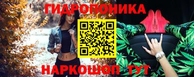 индика Кандалакша