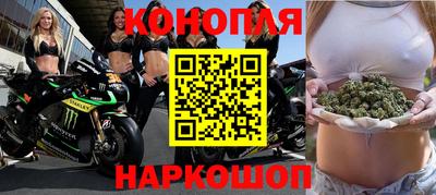 индика Кандалакша