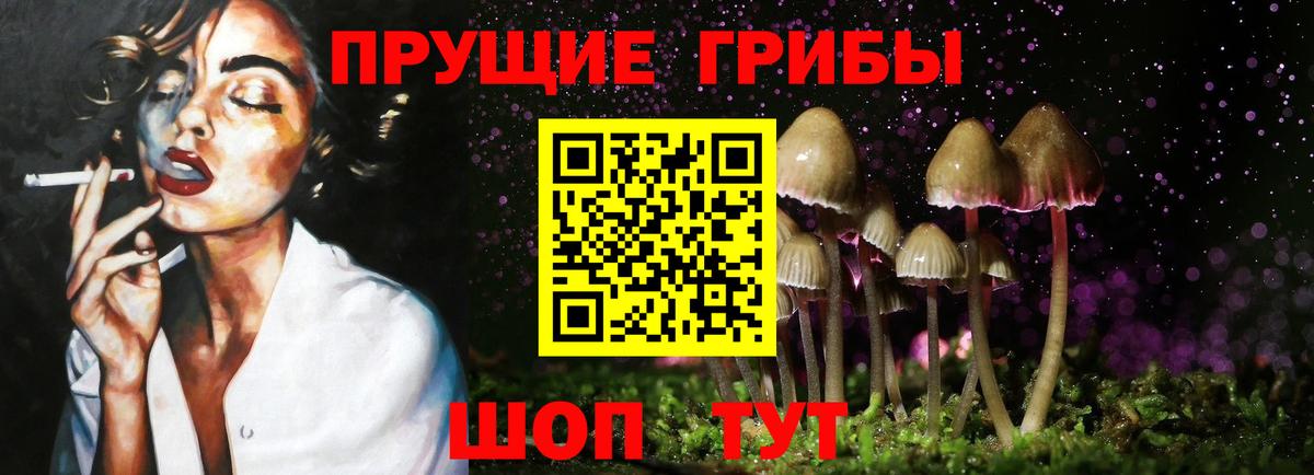Кунгур  Псилоцибиновые грибы Magic Shrooms  Вход с VPN  Галлюциногенные грибы мицелий 
